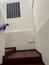 Little India Conservation Area (D8), Shop House #530551951